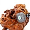 Rocaris Nylon Wheel Brush Rust Removal Woodworking Tool-3